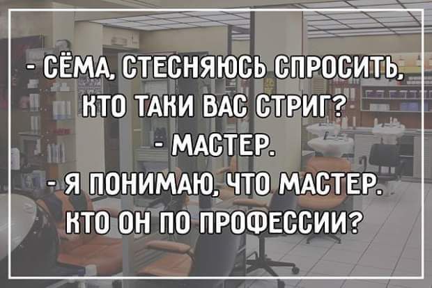 СЁМА СТЕСНЯЮСЬ СПРОСИТЬ НТП ТАНИ ВАС СТРИГ МАСТЕР Я ПОНИМАЮ ЧТО МАСТЕР НТО ОН ПП ПРОФЕССИИ