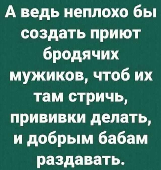 А ведь неплохо бы создать приют бродячих мужиков чтоб их там стричь прививки делать и добрым бабам раздавать