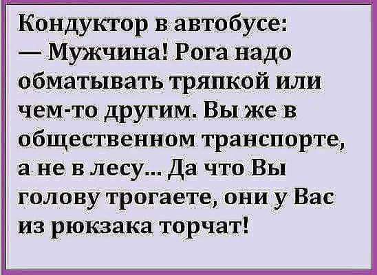 Кондуктор в автобусе Мужчина Рога надо обматывать тряпкой или чемто другим Вы же в общественном транспорте а не в лесу Да что Вы голову трогаете они у Вас из рюкзака торчат