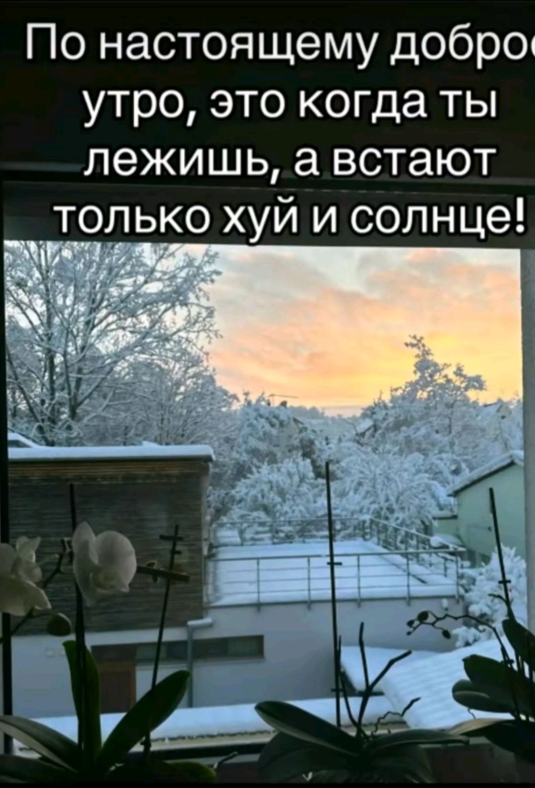 По настоящему добро утро это когда ты лежишь а встают только хуй и солнце