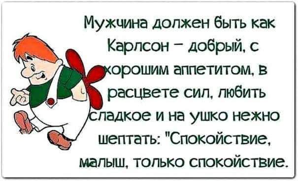 Мужчина должен быть как Карлсон добрый ороимм аппетитом в расцвете сип любить падкое и на ушко нежно шептать Спокойствие малыш только спокойствме