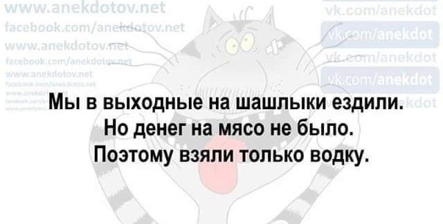 Мы в выходные на шашлыки ездили Но денег на мясо не было Поэтому взяли только водку