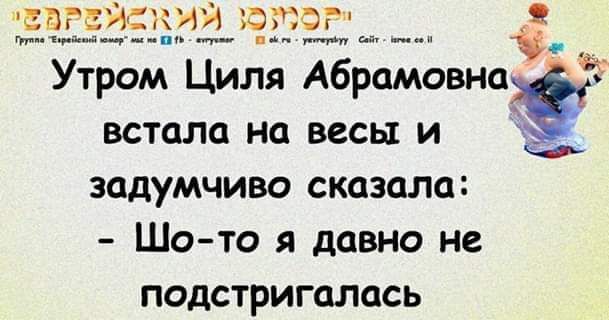 Ева 33 973 Утром Циля Абрамовнаёо встала на весы и задумчиво сказала Шото я давно не ПОДСТРИГОЛОСЬ