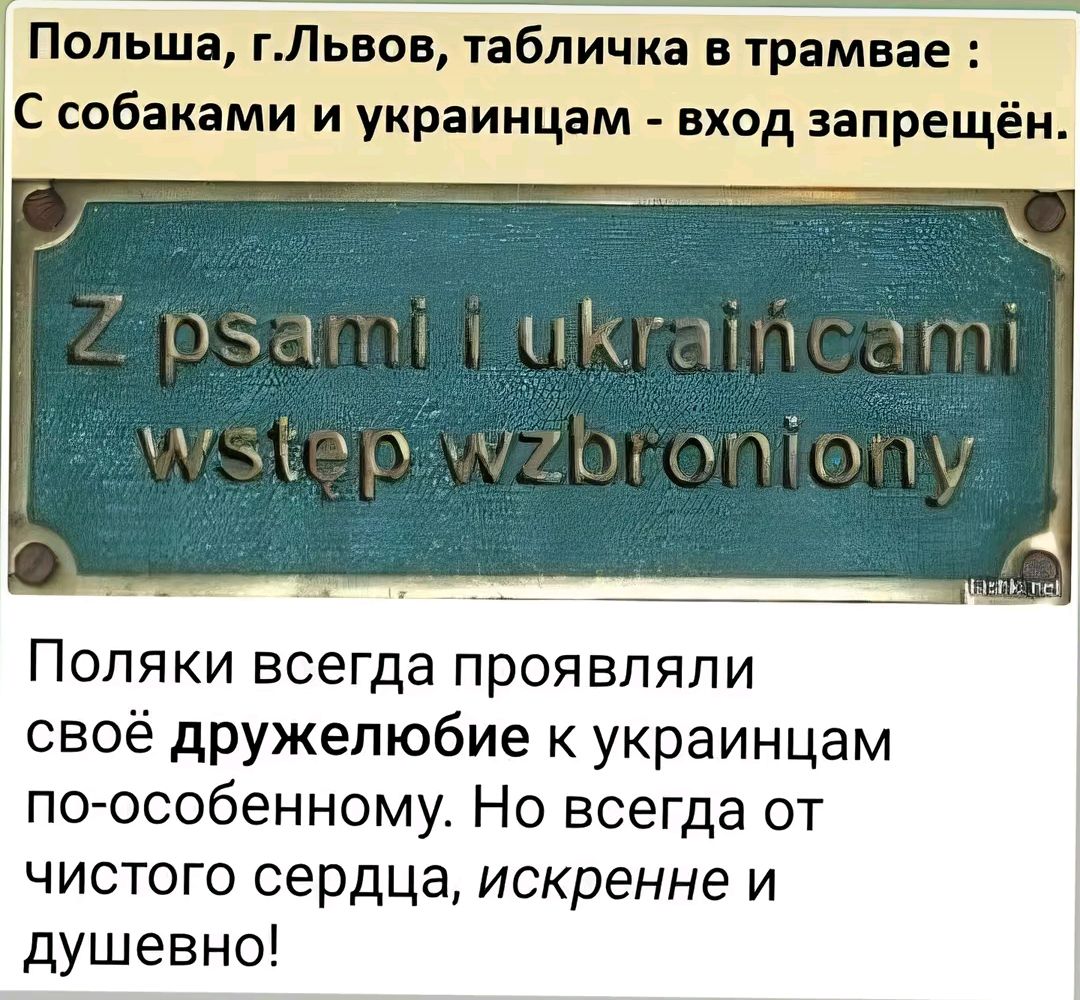 Польша ЁЛЁЫЗ табличка в трамвае С собаками и украинцам вход запрещён Поляки всегда проявляли своё дружелюбие к украинцам поособенному Но всегда от чистого сердца искренне и душевно