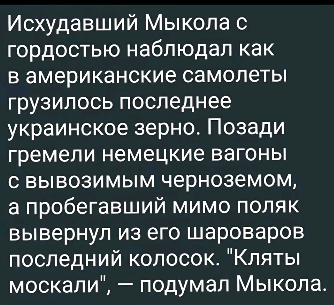 Исхудавший Мыкола с гордостью наблюдал как в американские самолеты грузилось последнее украинское зерно Позади гремели немецкие вагоны с вывозимым черноземом а пробегавший мимо поляк вывернул из его шароваров последний колосок Кляты москали подумал Мыкола