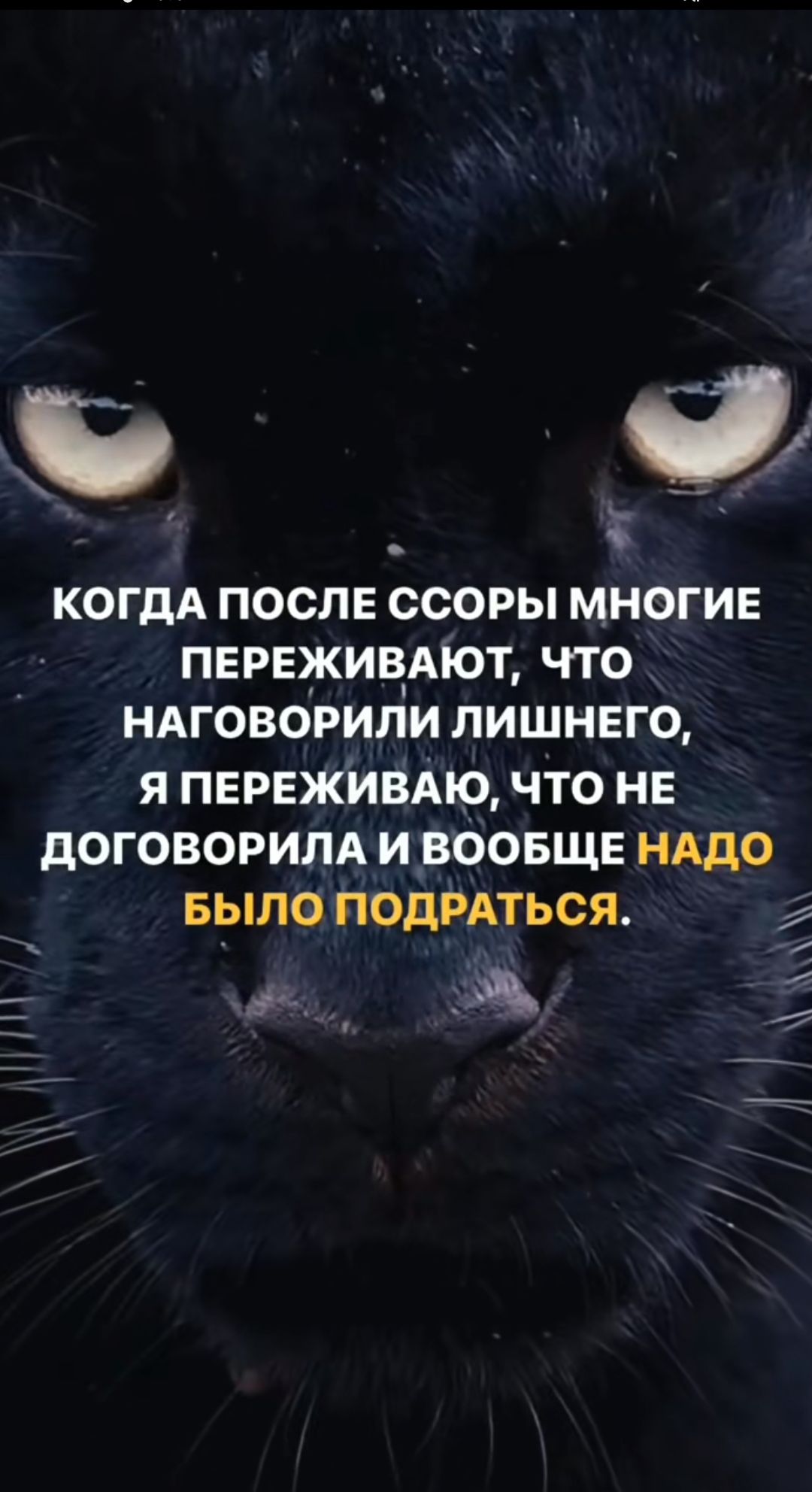 О КОГДА ПОСЛЕ ССОРЫ МНОГИЕ ПЕРЕЖИЦАЮТ ЧТО НАГОВОРИПИ ЛИШНЕГО Я ПЕРЕЖЙВАЮ ЧТО НЕ дОГОВОРИЛА И_ВООБЩЕ НАДО БЫЛО ПОДРАТЬСЯ А