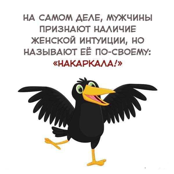 НА САМОМ АЕАЕ МУЖЧИНЫ ПРИЗНАЮТ НААИЧИЕ ЖЕНСКОЙ ИНТУИЦИИ НО НАЗЫВАЮТ ЕЁ ПОСВОЕМУ НАКАРКААА