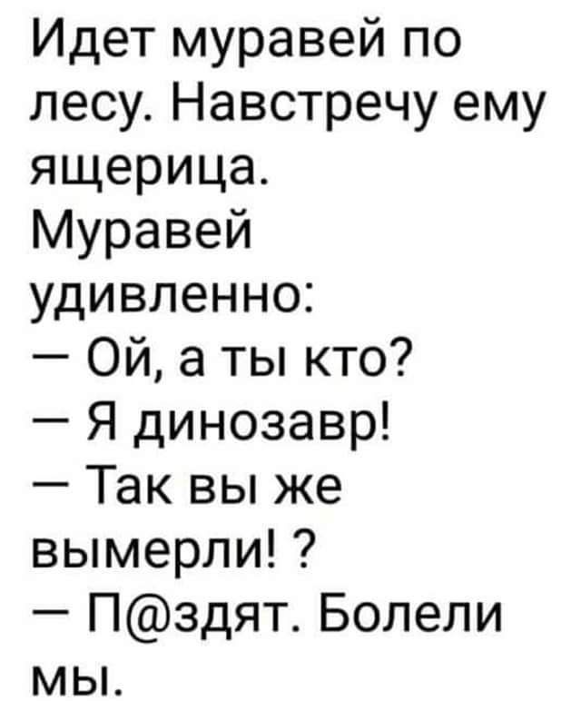 Идет муравей по лесу Навстречу ему ящерица Муравей удивленно Ой а ты кто Я динозавр Так вы же вымерли Пздят Бопели мы