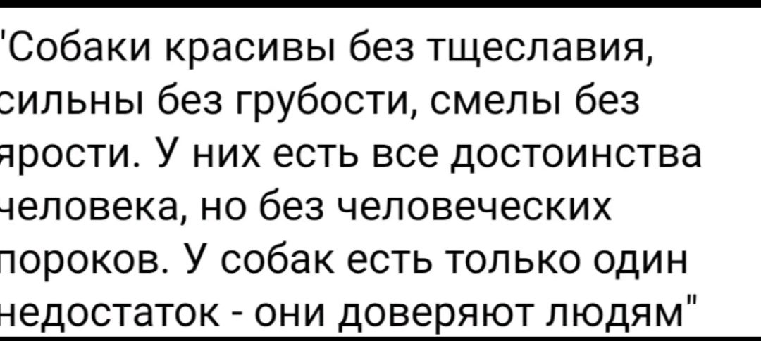 Собаки красивы без тщеславия ильны без грубости смелы без прости У них есть все достоинства 4еловека но без человеческих юроков У собак есть только один чедостаток они доверяют людям