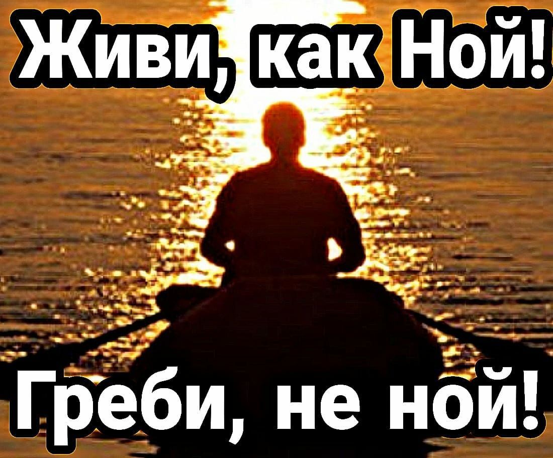 ы 2 Греби не но