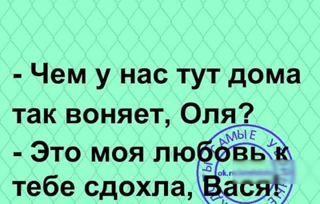 Чем у нас тут дома так воняет Оля Это моя лю тебе сдохла