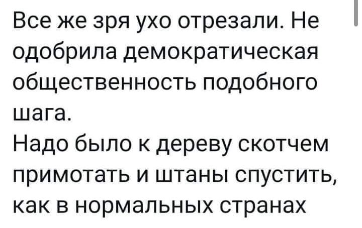 Все же зря ухо отрезали Не одобрила демократическая общественность подобного шага Надо было к дереву скотчем примотать и штаны спустить как в нормальных странах