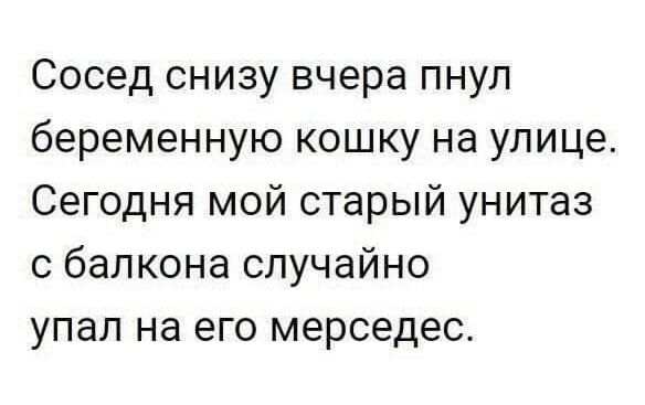 Сосед снизу вчера пнул беременную кошку на улице Сегодня мой старый унитаз с балкона случайно упал на его мерседес