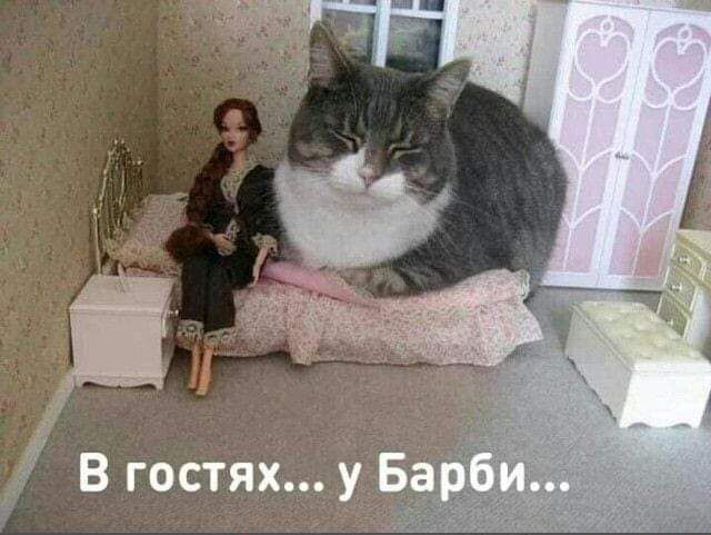 В гостях у Ба