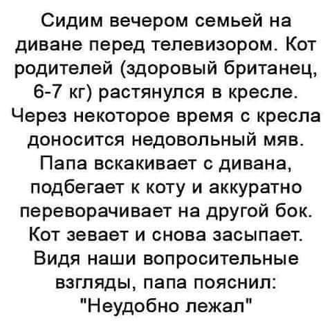 Сидим вечером семьей на диване перед телевизором Кот родителей здоровый британец 6 7 кг растянулся в кресле Через некоторое время с кресла доносится недовольный мяв Папа вскакивает дивана подбегает к коту и аккуратно переворачивает на другой бок Кот зевает и снова засыпает Видя наши вопросительные взгляды папа пояснил Неудобно лежал