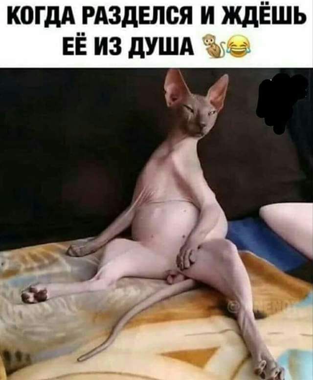 когдА РАздЕпся и ждЁшь ЕЁ из душд