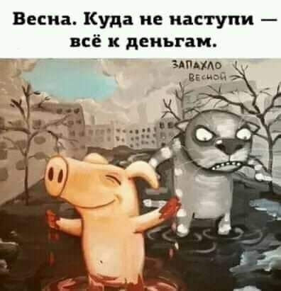 Весна Куда ие нас купи всё дены ам мгимо веьд