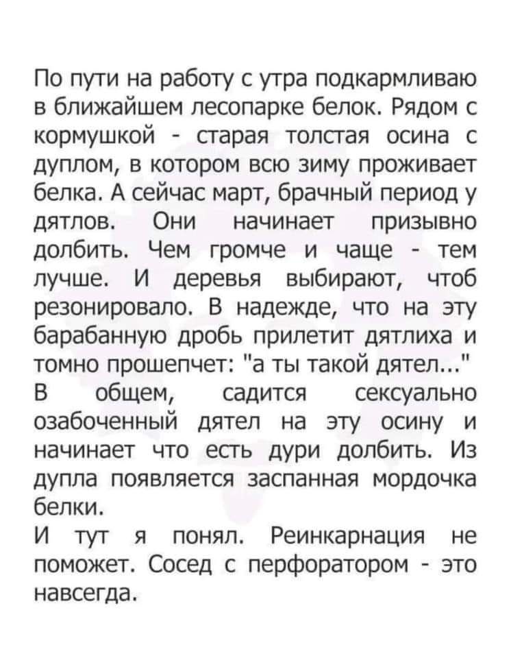 По пути на работу с утра подкармливаю в ближайшем лесопарке белок Рядом кормушкой старая толстая осина с дуплом в котором всю зиму проживает белка А сейчас март брачный период у дятлов Они начинает призывно долбить Чем громче и чаще тем лучше И деревья выбирают чтоб резонировало в надежде что на эту барабанную дробь прилетит дятпиха и томно прошепчет а ты такой дятел В общем садится сексуально оза