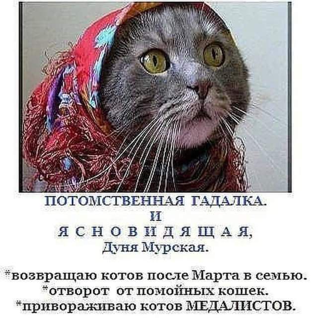 ЪіСТВЁЛШ ХЯ ГАДАЛКА И ЯСНОВНДЯЩАЯ_ Дуня Мпаская возвращаю котов после Марта в семью отвара г от помоішых кошек привораживаю коп ов МЕДАШХСТОВ