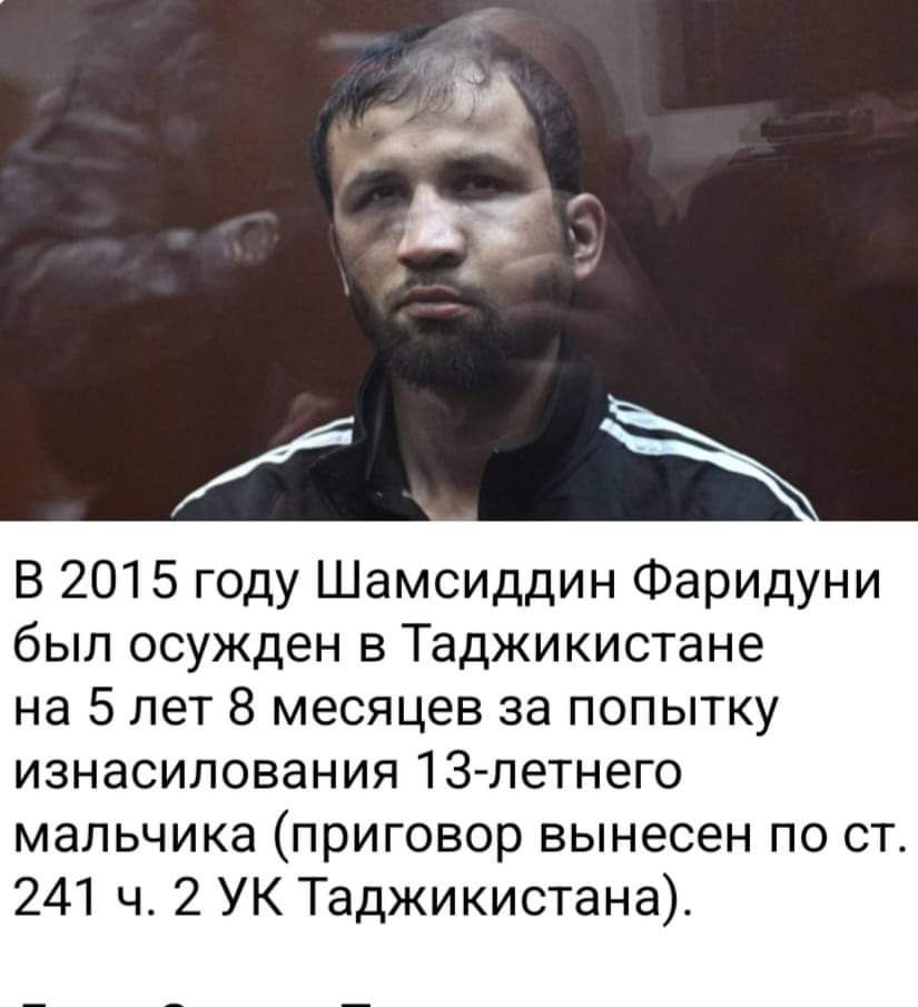 В 2015 году Шамсиддин Фаридуни был осужден в Таджикистане на 5 лет 8 месяцев за попытку изнасилования 13 летнего мальчика приговор вынесен по ст 241 ч 2 УК Таджикистана