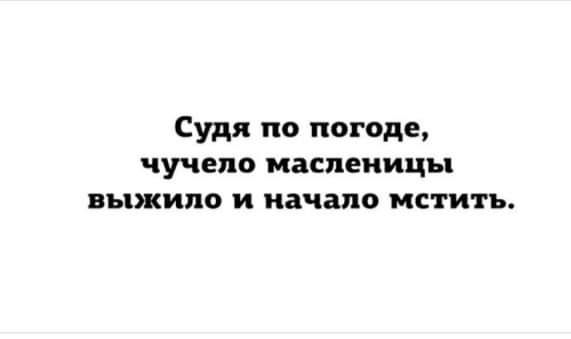 Судя по погоде чучело масленицы выжило и начало мстить