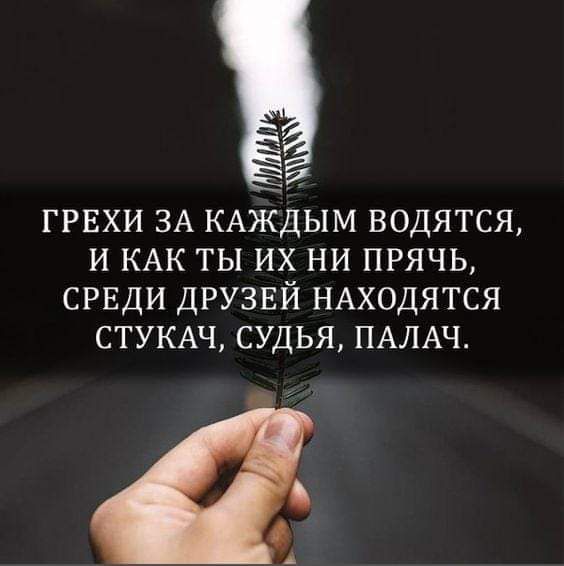 ГРЕХИ ЗА КАЖДЫМ ВОДЯТСЯ И КАК ТЫ ИХ НИ ПРЯЧЬ СРЕДИ ДРУЗЕЙ НАХОДЯТСЯ СТУКАЧ СУДЬЯ ПАЛАЧ