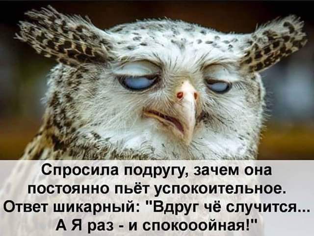 Спросила подругу зачем она постоянно пьёт успокоительное Ответ шикарный Вдруг чё случится А Я раз и спокооойная