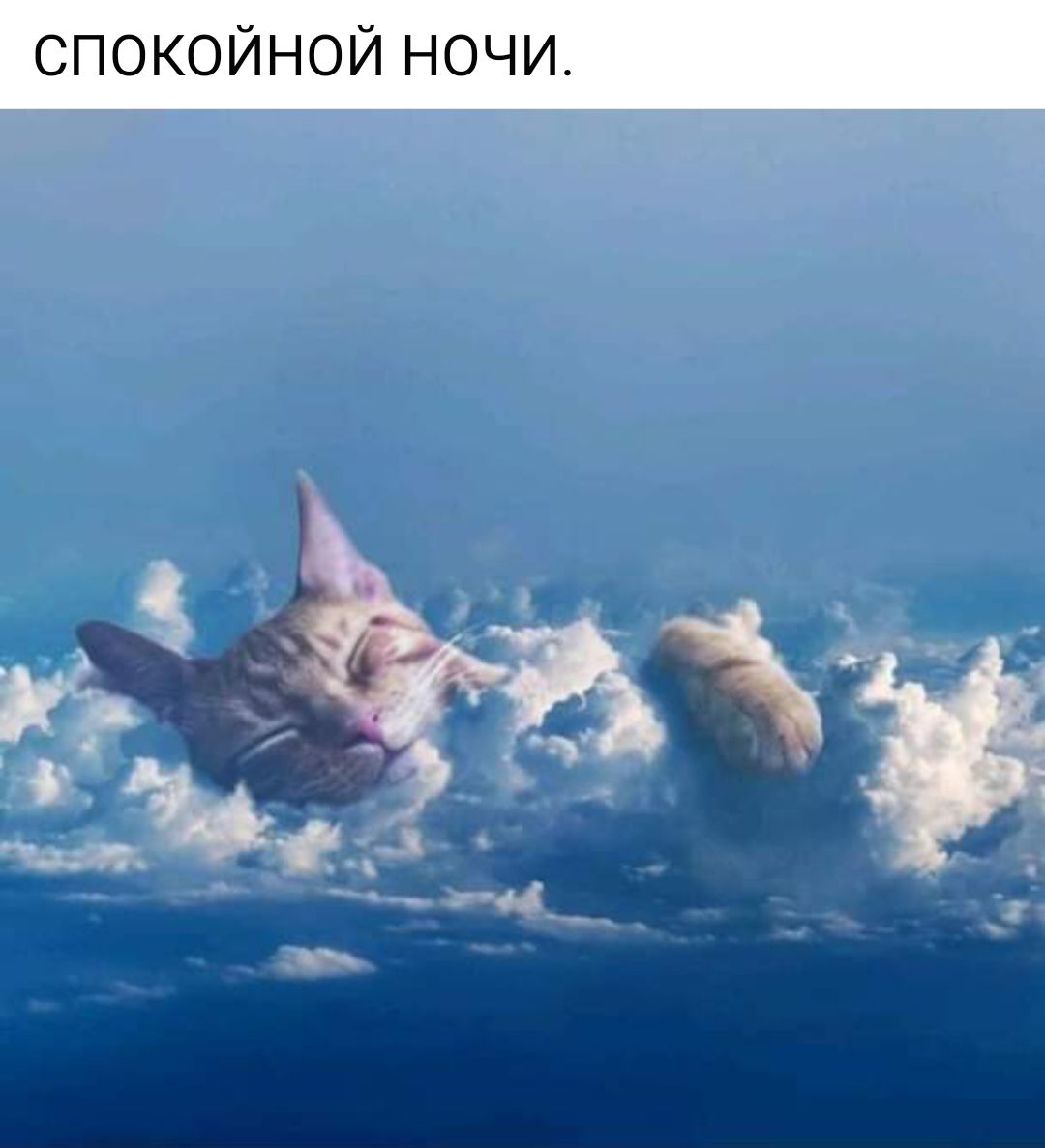 СПОКОЙНОЙ НОЧИ