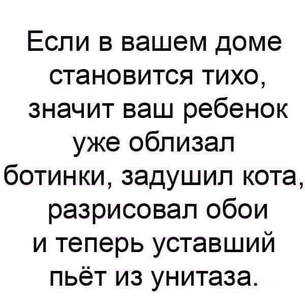 Если в вашем доме становится тихо значит ваш ребенок уже облизал ботинки задушил кота разрисовап обои и теперь уставший пьёт из унитаза