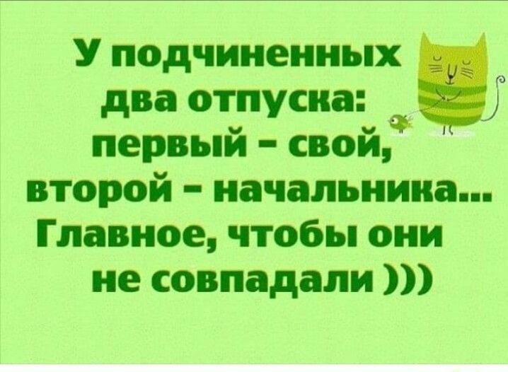 У подчиненных два отпуска Ф первый свой второй начальника Главное чтобы они не совпадали