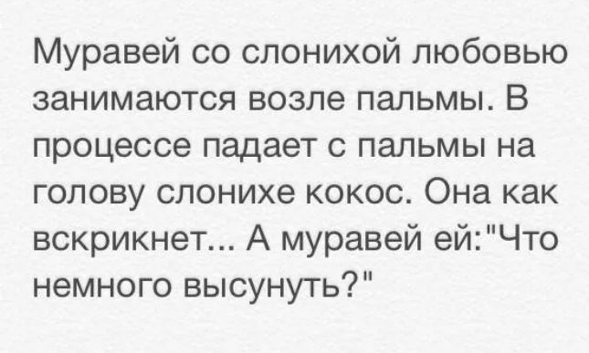 Муравей со слонихой любовью занимаются возле пальмы В процессе падает с пальмы на голову слонихе кокос Она как вскрикнет А муравей ейЧто немного высунуть