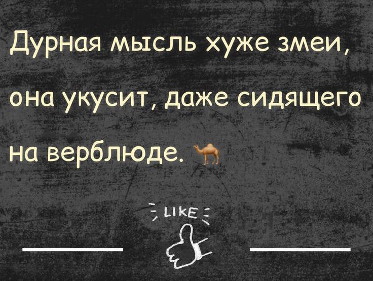 Дурная мысль хуже змеи ОНО укусит даже сидящего на верблюде ШЕЕ