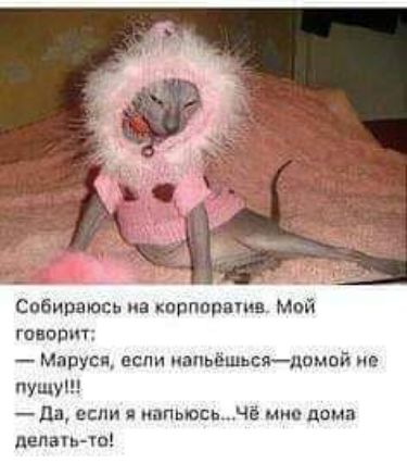 Собираюсь иа корпоряшв Мой говорит Маруся если иапьёшьсядомой не ну дп если иапьюсь_чё мно дома делат то