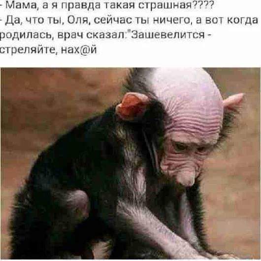 Мама ч гранда ини страшна Да что ты Опж сеичас ть чичвш а вы когда шдипмы врач сказап Сітннввпитпч шепщпв на_кй