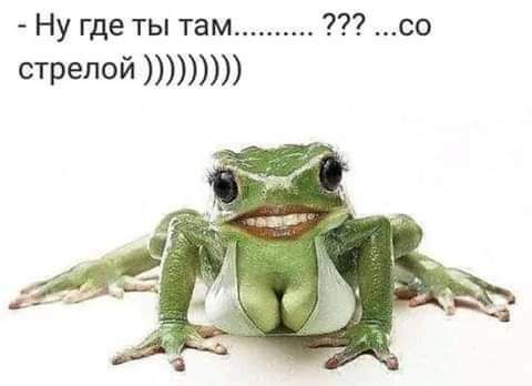 Ну где ты там со стрелой