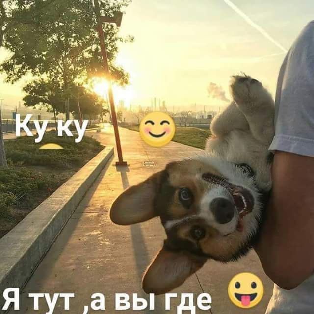 Я тут а вы где