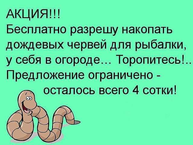 АКЦИЯ Бесплатно разрешу накопать дождевых червей для рыбалки у себя в огороде Торопитесь Предложение ограничено осталось всего 4 сотки