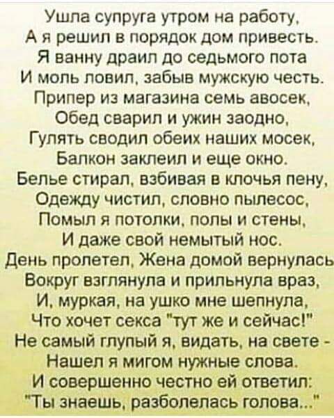 Ушпа супруга утром на работу А я решил в порядок дом привесть Я ванну драил до седьмого пота И мопь повип_ забыв мужскую честь Прилер из магазина семь авосек Обед сварил и ужин заодно Гулять сводил обеих наших мосек Балкон заклеил и еще окно Белье стирал взбивая в клочья пену Одежду чистил словно пылесос Помып я потолки полы и стены И даже свой немытый нос день пролетел Жена домой вернулась Вокруг