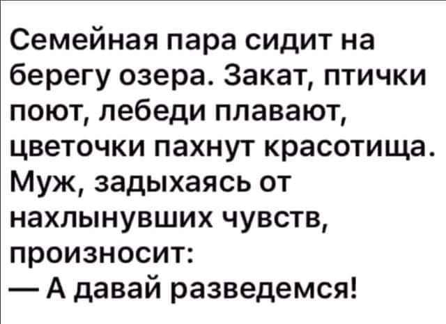 Семейная пара сидит на берегу озера Закат птички поют лебеди плавают цветочки пахнут красотища Муж задыхаясь от нахлынувших чувств произносит А давай разведемся