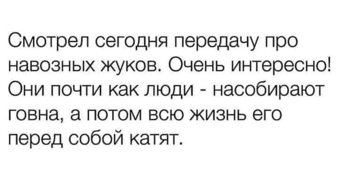 Смотрел сегодня передачу про навозных жуков Очень интересно Они почти как люди насобирают говна а потом всю жизнь его перед собой катят