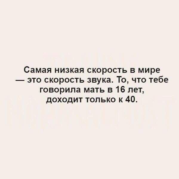 Самая низкая скорость в мире зто скорость звука То что тебе говорила мать в 16 лет доходит только к 40