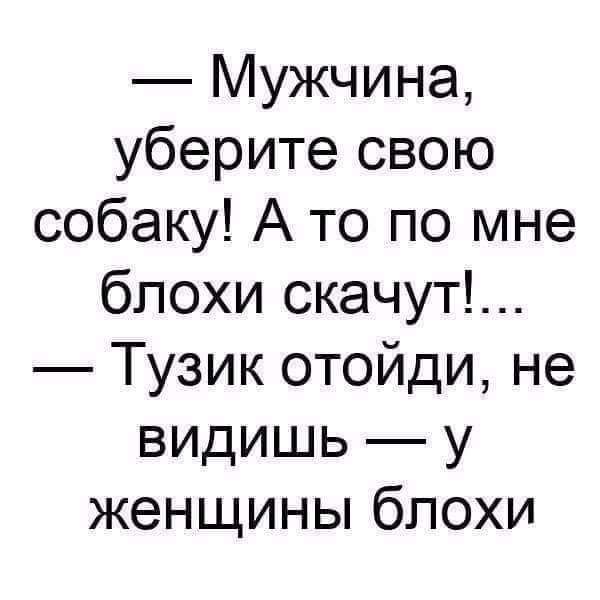 Мужчина уберите свою собаку А то по мне блохи скачут Тузик отойди не видишь у женщины блохи