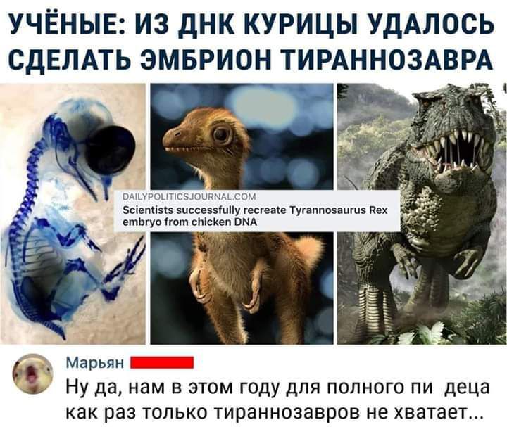 УЧЁНЫЕ ИЗ дНК КУРИЦЫ УДАЛОСЬ СДЕЛАТЬ ЭМБРИОН ТИРАННОЗАВРА ишьшыщцммм ъстшмм Марьян Ну да нам в этом году для полного пи деца как раз только тираннозввров не хватает