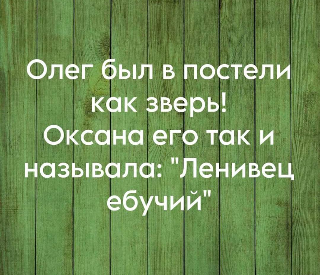Олег был в постели как зверь Оксана его так и называла Ленивец ебучий