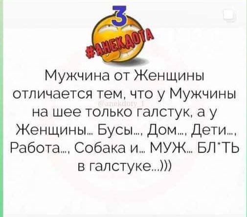 Мужчина от Женщины отличается тем что у Мужчины на шее только галстук а у Женщины Бусы Дом Дети Работа Собака и муж БЛТЬ в галстуке