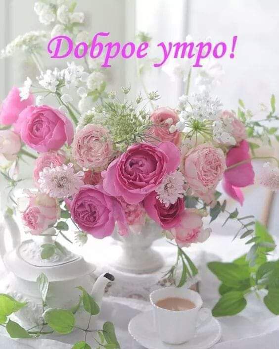 ФБСР утро к