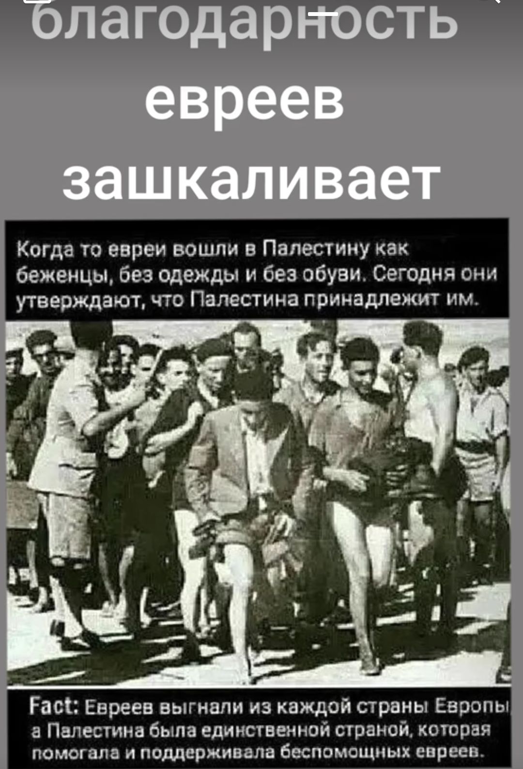 Когда тп евреи вошли в Палестину как беженцы без одежды и без обуви Сегодня они угверждают что Палестина принадлежит им помог и поддерж шипит евреев