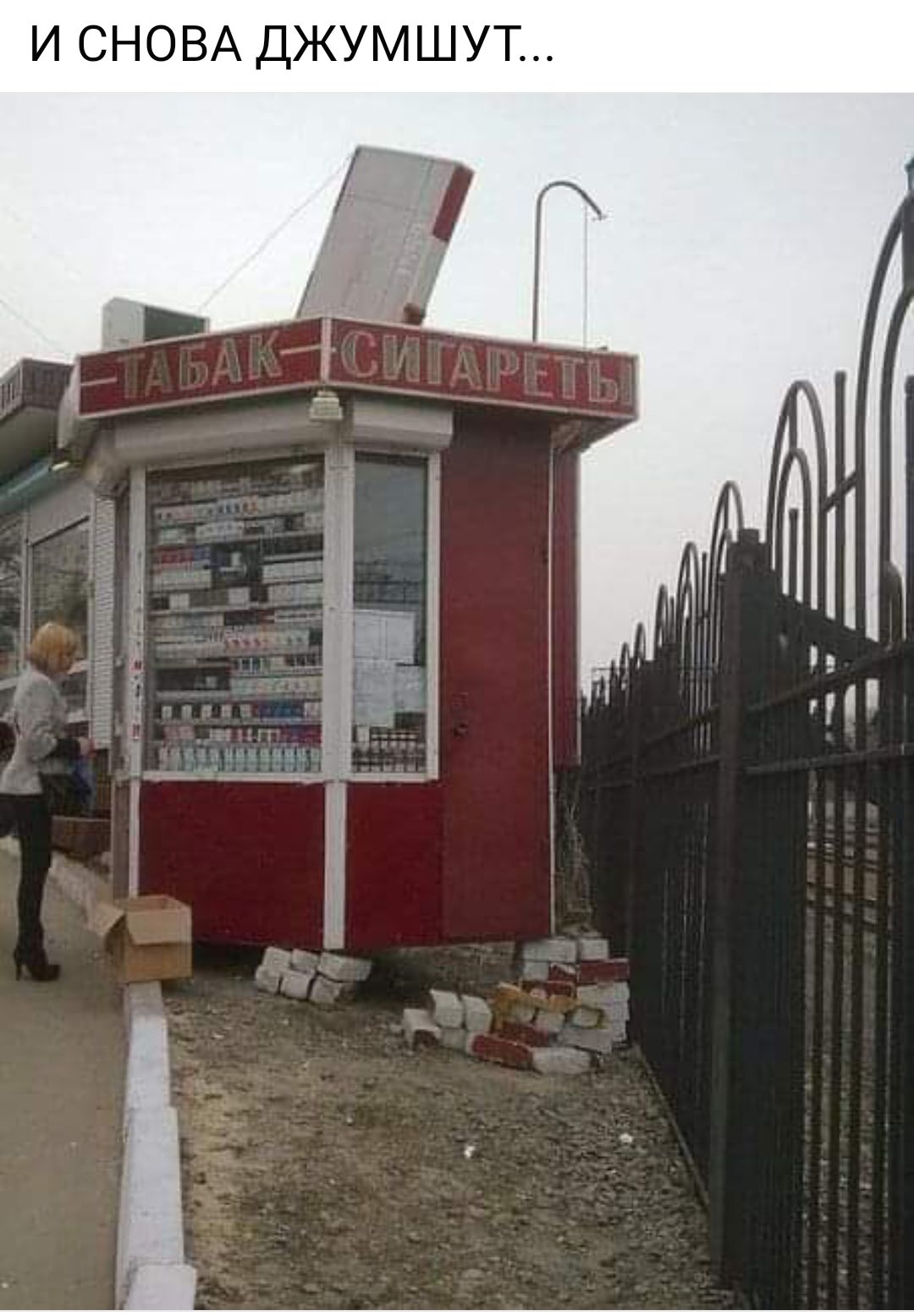 И СНОВА ДЖУМШУТ
