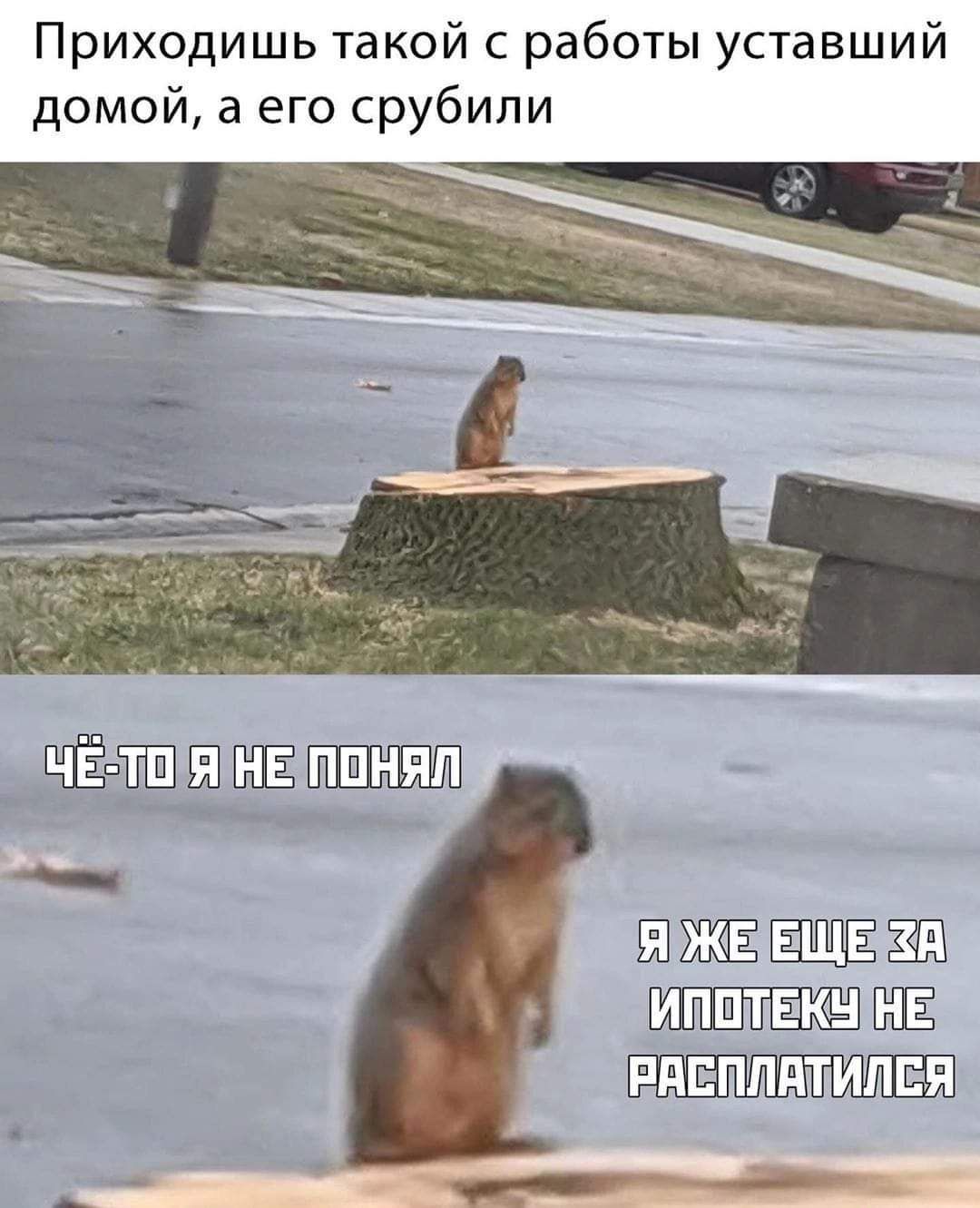 Приходишь такой с работы уставший домой а его срубипи ЩЁЁШШШЁШ _ ЫШЁЁЩЁЁШ РНЕ ПТИПЕ _ Р