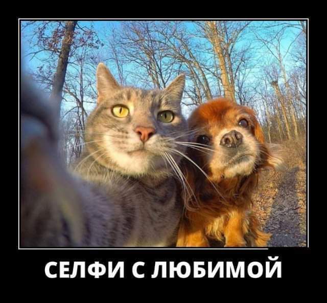 СЕЛФИ с лювимой